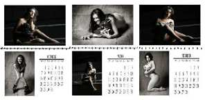 Calendrier Miss’Iles 2007 : il en reste !