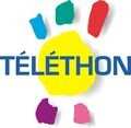 Défi : 190 km sur roulettes pour le Téléthon (14)