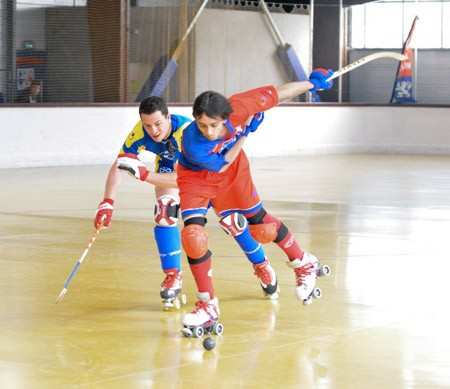 N3 : la Nationale 3 rink hockey d&rsquo;un coup d&rsquo;oeil au 8 avril 2017