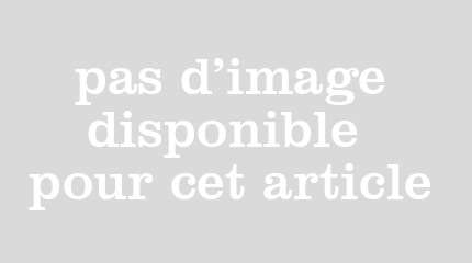Freiner : le canard arrière