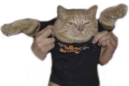 ReL : le webmaster&#8230; à poil !
