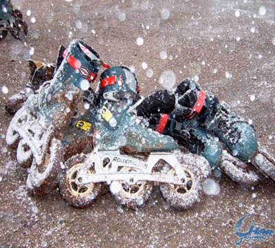 Session de Roller Tout-Terrain dans le « Grand Nord » (59)